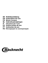 Bauknecht DBHBS 63 LL IX Guida utente