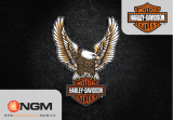 NGM Harley-Davidson Manuale del proprietario