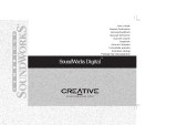 Creative DESKTOP THEATRE 5.1 DTT2500 DIGITAL Manuale utente
