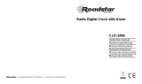 Roadstar CLR-2466 Manuale utente