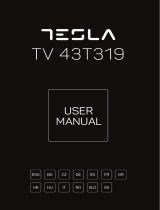Tesla 43T319BF  Manuale utente