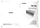 Yamaha TSX-100 Manuale del proprietario