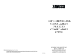 Zanussi ZFC181 Manuale utente