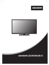 Grandin LD19CHD106 CI Manuale utente