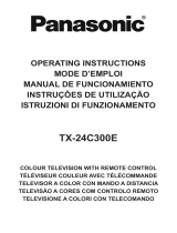 Panasonic TX24C300E Manuale utente
