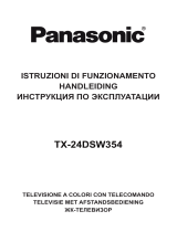 Panasonic TX24DSW354 Istruzioni per l'uso