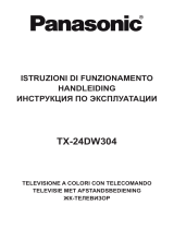 Panasonic TX24DW304 Istruzioni per l'uso