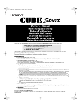 Roland CUBE STREET Manuale utente