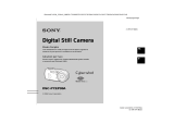 Sony Cyber-Shot DSC P93A Istruzioni per l'uso