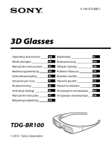 Sony TDG-BR100 Manuale utente