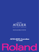 Roland ATELIER Combo AT-350C Manuale utente