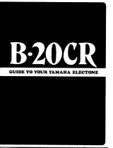 Yamaha B-20CR Manuale del proprietario
