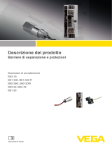 Vega Overvoltage protection B 61-300 FI Informazioni sul prodotto