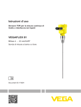 Vega VEGAFLEX 81 Istruzioni per l'uso