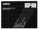 Yamaha DSP-100 Manuale del proprietario