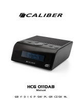 Caliber HCG 011DAB Manuale del proprietario