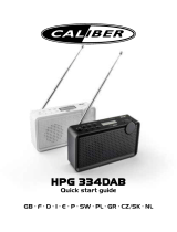 Caliber HPG334DAB-W Manuale del proprietario