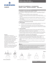 Raimondi Ball Valves F5500/5700 IOM Manuale del proprietario