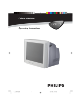 Philips 21PT5107 Manuale utente