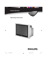 Philips 34PT4323/71R Manuale utente