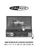 Caliber RMD579DAB-BT Manuale del proprietario