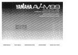 Yamaha AV-M99 Manuale del proprietario