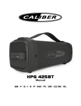 Caliber HPG425BT Manuale del proprietario