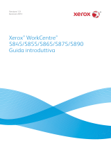 Xerox 5865/5875/5890 Guida utente