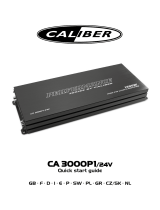 Caliber CA3000P1/24V Manuale del proprietario