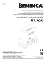 BenincaRI 10K