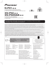 Pioneer P2DAB Manuale utente