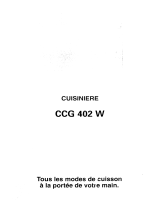 Faure CCG402W Manuale utente