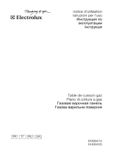 Electrolux EHG6435X Manuale utente