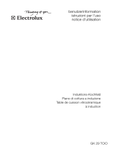 Electrolux GK29TCIO Manuale utente