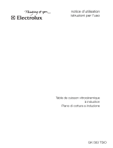 Electrolux GK583TSIO Manuale utente