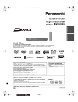 Panasonic DMREX83 Istruzioni per l'uso