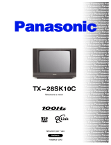 Panasonic TX28SK10C Istruzioni per l'uso