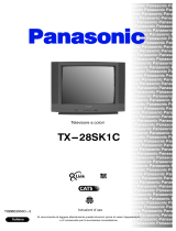 Panasonic TX28SK1C Istruzioni per l'uso