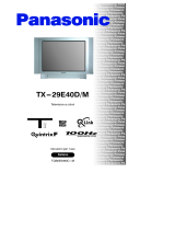 Panasonic TX29E40DM Istruzioni per l'uso