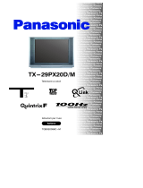 Panasonic TX29PX20DM Istruzioni per l'uso