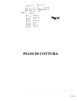 REX PTE931A Manuale utente