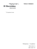 ARTHUR MARTIN ELECTROLUX AND32321S Manuale utente