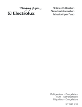 Electrolux ST387S10 Manuale utente