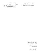 Electrolux EHS60200P Manuale utente