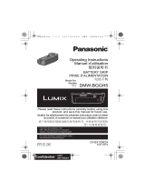 Panasonic DMWBGGH5PP Manuale utente
