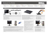 Dell 1908FP Guida Rapida