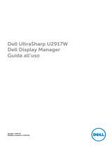 Dell U2917W Guida utente