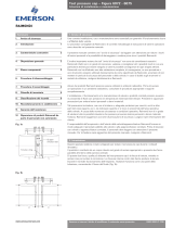 Raimondi Test pressure caps device F6072-6075 IOM Manuale del proprietario