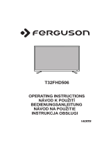 Ferguson T32FHD506 Manuale utente