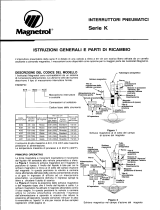 Magnetrol Pneumatic Switch-K Manuale utente
